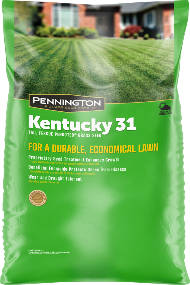 Pennington Kentucky 31 Series 100516056 Grass Seed, 50 lb Bag