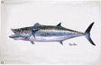Taylor Carey Chen Offshore Fish Flag