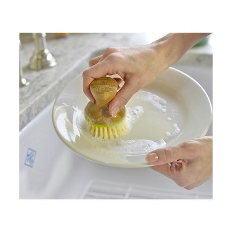Full Circle Bubble Up 2.3 in. W Medium Bristle 1.5 in. Bamboo Handle Dish Brush
