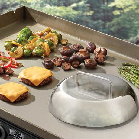 Mr. BAR-B-Q 40321Y Basting Cover, Stainless Steel