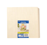 Plaid 0.75 in. H X 10 in. W X 10 in. L Natural Beige Wood Canvas Panel, Pack of 2