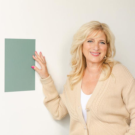 SureSwatch 9 in. W X 12 in. L Clear Plastic Paint & Stick Paint Samples, Pack of 50