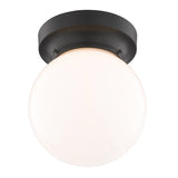 Boston Harbor OG24005 Ceiling Light, 1-Lamp, Matte Black Fixture