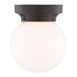 Boston Harbor OG24005 Ceiling Light, 1-Lamp, Matte Black Fixture