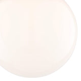Boston Harbor OG24005 Ceiling Light, 1-Lamp, Matte Black Fixture