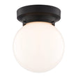 Boston Harbor OG24005 Ceiling Light, 1-Lamp, Matte Black Fixture