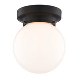 Boston Harbor OG24005 Ceiling Light, 1-Lamp, Matte Black Fixture