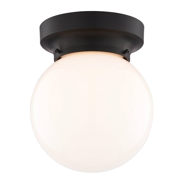 Boston Harbor OG24005 Ceiling Light, 1-Lamp, Matte Black Fixture