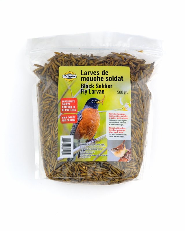 BIRD FOOD MAGGOT