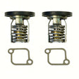 THERMOSTAT KIT