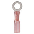 Ancor 310603 Marine Grade Heat Shrink Ring Terminals, 3/8 Fastener, 22-18 Wire, Red, 3/Pk