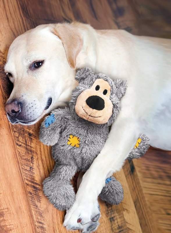 Kong Wild Knots NKR3 Dog Toy, S/M, Bear, Assorted