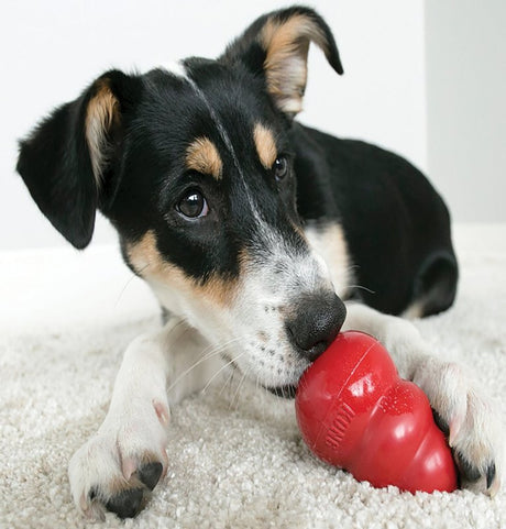 Kong Classic T1 Dog Toy, L, Rubber, Red