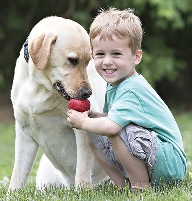 Kong Classic T1 Dog Toy, L, Rubber, Red