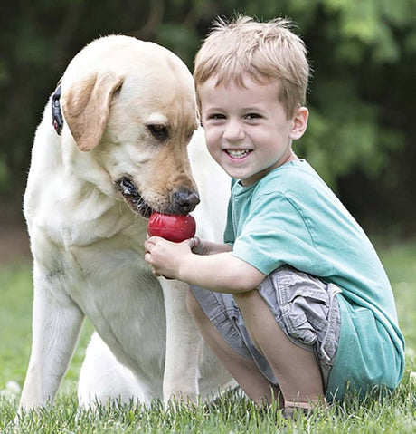 Kong Classic T1 Dog Toy, L, Rubber, Red