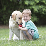 Kong Classic T2 Dog Toy, M, Rubber, Red