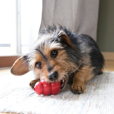 Kong Classic T3 Dog Toy, Small, Rubber, Red