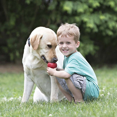 Kong Classic T3 Dog Toy, Small, Rubber, Red