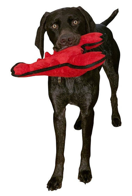 Pet Park Blvd US2021 14 12 Dog Toy, Small, Chew, Tuffimals Lobster