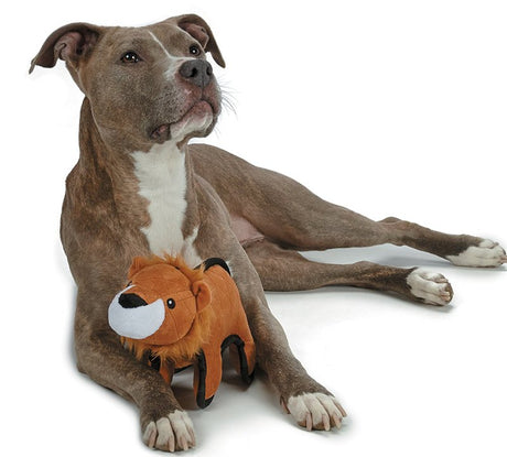 Pet Park Blvd US2021 18 13 Dog Toy, L, Chew, Tuffimals Lion