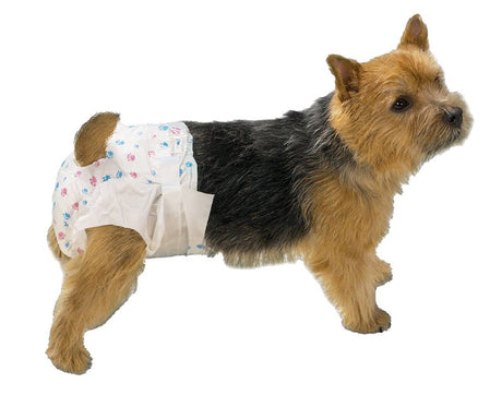 ClearQuest US948 08 Disposable Doggy Diaper