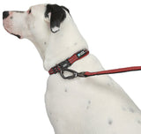 Guardian Gear ZA0006 12 83 Dog Collar, O-Ring Link, 12 to 83 in L Collar, Nylon, True Red