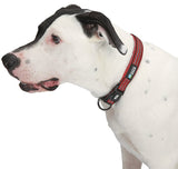 Guardian Gear ZA0006 16 83 Dog Collar, O-Ring Link, 16 to 83 in L Collar, Nylon, True Red
