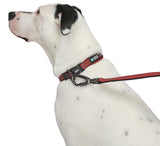 Guardian Gear ZA0006 20 83 Dog Collar, O-Ring Link, 20 to 83 in L Collar, Nylon, True Red