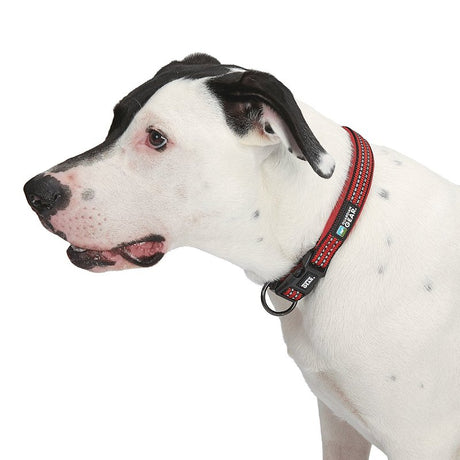 Guardian Gear ZA0006 24 83 Dog Collar, O-Ring Link, 24 to 83 in L Collar, Nylon, True Red