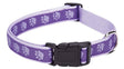 Casual Canine ZA8871 10 79 Dog Collar, 10 to 16 in L Collar, 5/8 in W Collar, Nylon, Purple