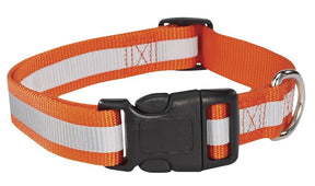 Guardian Gear ZA984 06 69 Dog Collar, 6 to 10 in L Collar, 3/8 in W Collar, Nylon, Orange