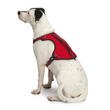 Guardian Gear ZA0031 16 83 Reflective Harness, 18 to 30 in, Fastening Method: O-Ring Strap, Nylon Harness, True Red