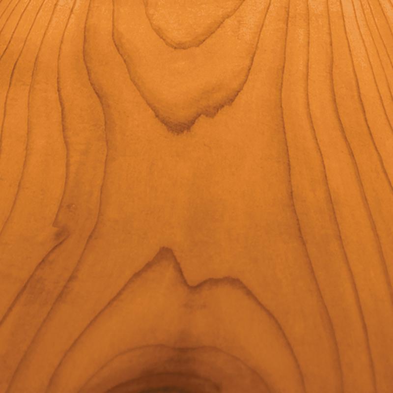 Wolman RainCoat Transparent Gloss Natural Cedar Water-Based Acrylic Copolymer One Coat Stain 1 gal, Pack of 4