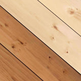 Thompson's WaterSeal Transparent Chestnut Brown Waterproofing Wood Stain and Sealer 5 gal