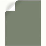 Magnolia Home by Joanna Gaines Olive Grove Peel & Stick Color Sample, Pack of 25