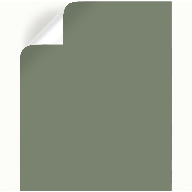 Magnolia Home by Joanna Gaines Olive Grove Peel & Stick Color Sample, Pack of 25