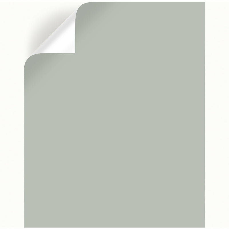 Magnolia Home by Joanna Gaines Americana Egg Peel & Stick Color Sample, Pack of 25