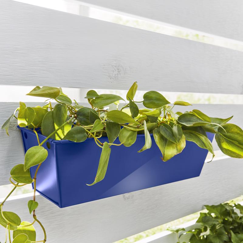 Krylon Fusion All-In-One Gloss Blue Hyacinth Paint+Primer Spray Paint 12 oz, Pack of 6