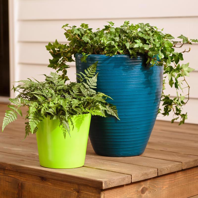 Krylon Fusion All-In-One Gloss Jungle Green Paint+Primer Spray Paint 12 oz, Pack of 6