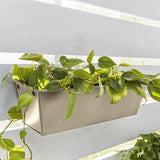 Krylon Fusion All-In-One Gloss Khaki Paint+Primer Spray Paint 12 oz, Pack of 6