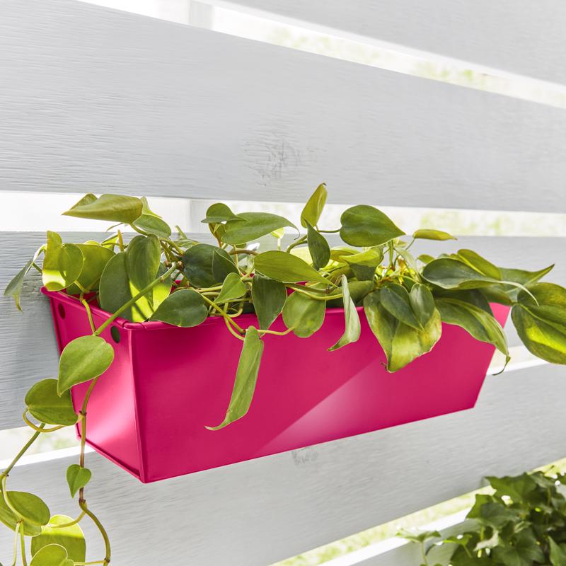 Krylon Fusion All-In-One Gloss Hot Pink Paint+Primer Spray Paint 12 oz, Pack of 6