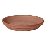 Deroma 1.2 in. H X 1.2 in. D X 9.3 in. D Clay Traditional Plant Saucer Chocolate, Pack of 16
