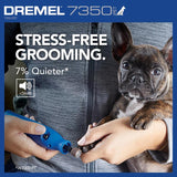 Dremel 4V Cordless Rotary Tool Kit