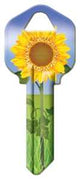 Hy-Ko 16005KW1-17 Key Blank, Sunflower, Brass, Nickel-Plated, For: Kwikset KW1 Keyways, KW1 Key Number, Pack of 5
