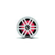 Rockford Fosgate M2D210I DVC 2? Color Optix Infinite Baffle Marine Subwoofer, 10" w/ White &amp; Stainless Grills