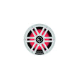 Rockford Fosgate M2D212I DVC 2? Color Optix Infinite Baffle Marine Subwoofer, 12" w/ White &amp; Stainless Grills