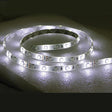 T-H Marine LED Flat Rope Lights