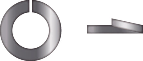 Seachoice Stainless Steel Lock Washer, 1/4"