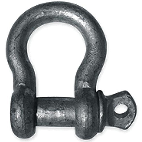 Shackle Imported Lr Galv 1/4"