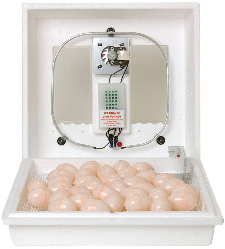 Little Giant 10300 Egg Incubator, 41 Large Chicken Eggs Egg, 99.5 deg F, Styrofoam